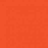 Cleveland Browns Orange NFL