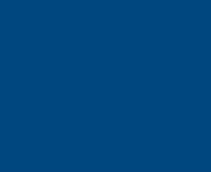 Detroit Lions Blue NFL