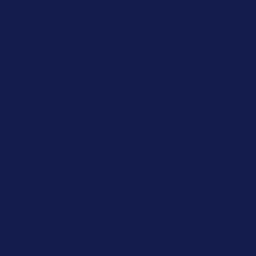Washington Nationals Blue