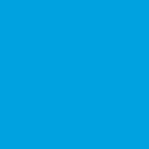 Miami Marlins Blue