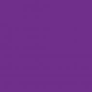 Los Angeles Lakers Purple NBA